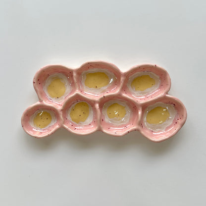 Blush Sorbet - Fossil Bloom