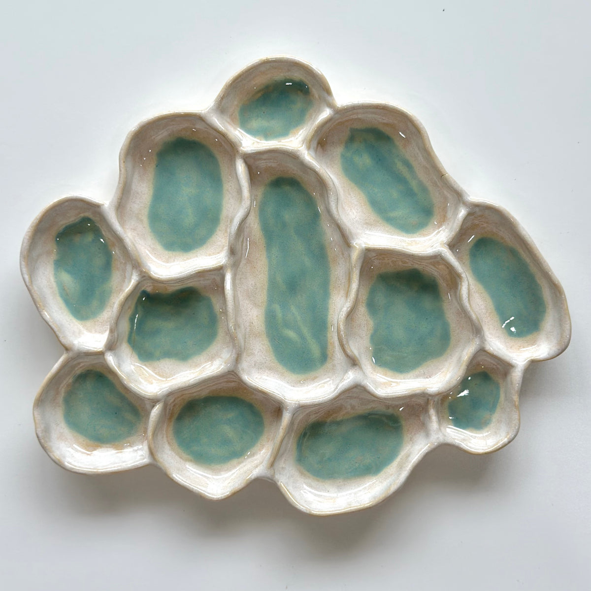 Aqua Pearl - Fossil Bloom