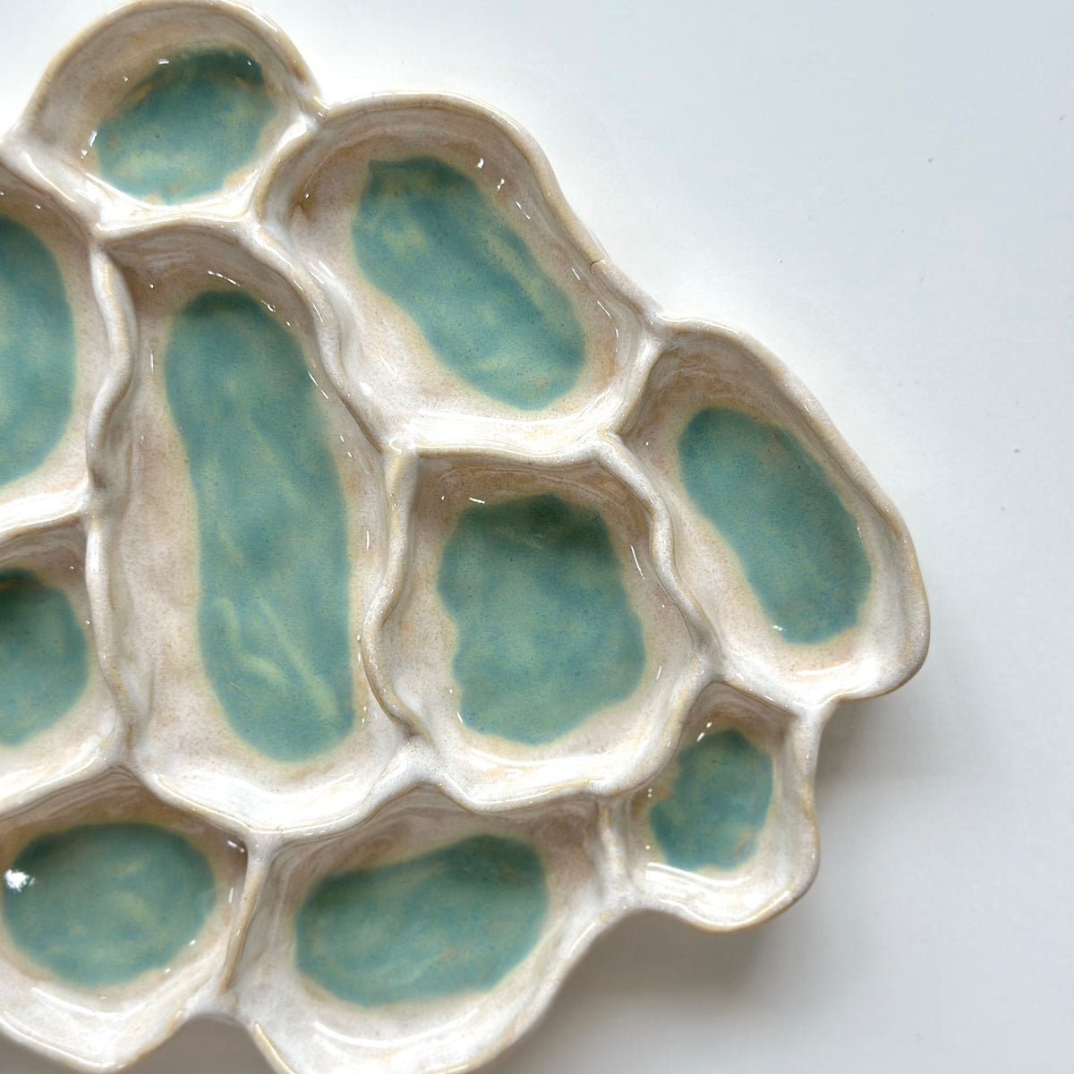 Aqua Pearl - Fossil Bloom