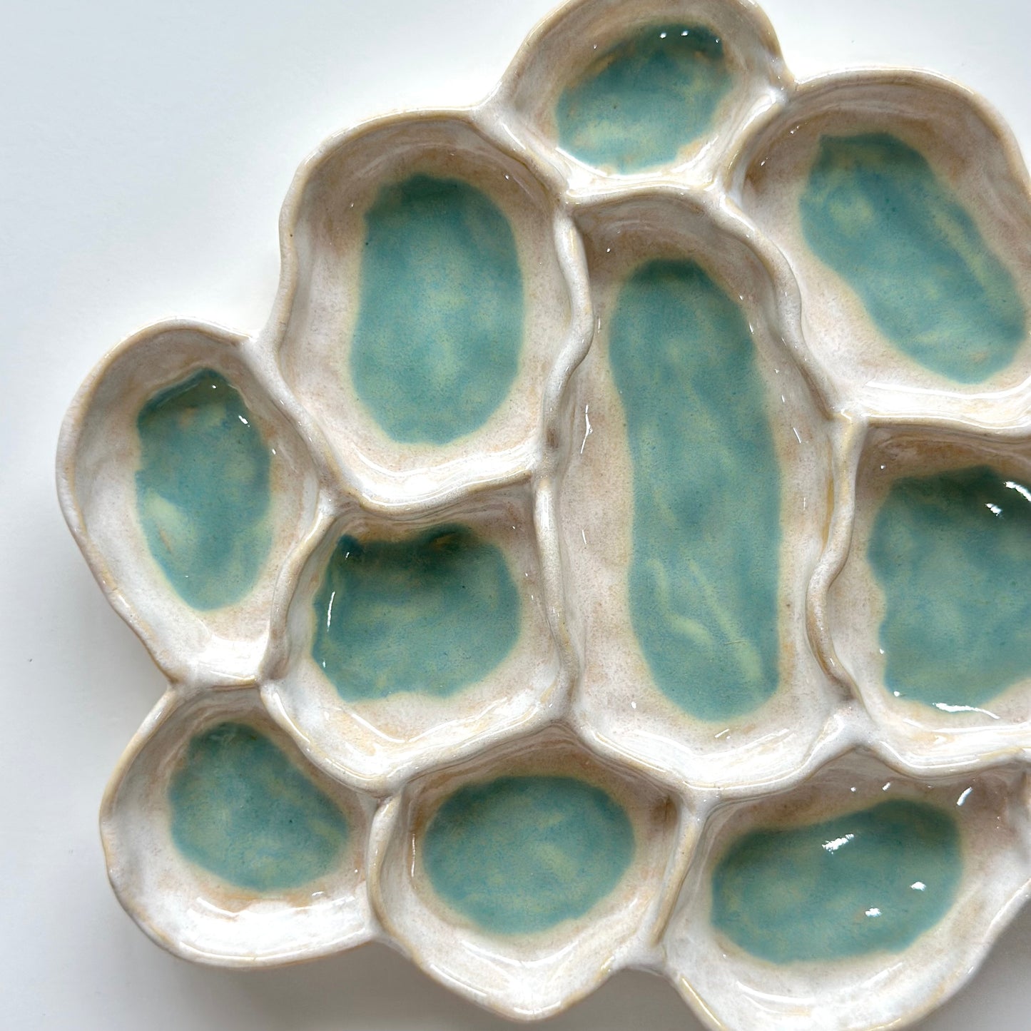 Aqua Pearl - Fossil Bloom