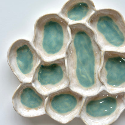 Aqua Pearl - Fossil Bloom