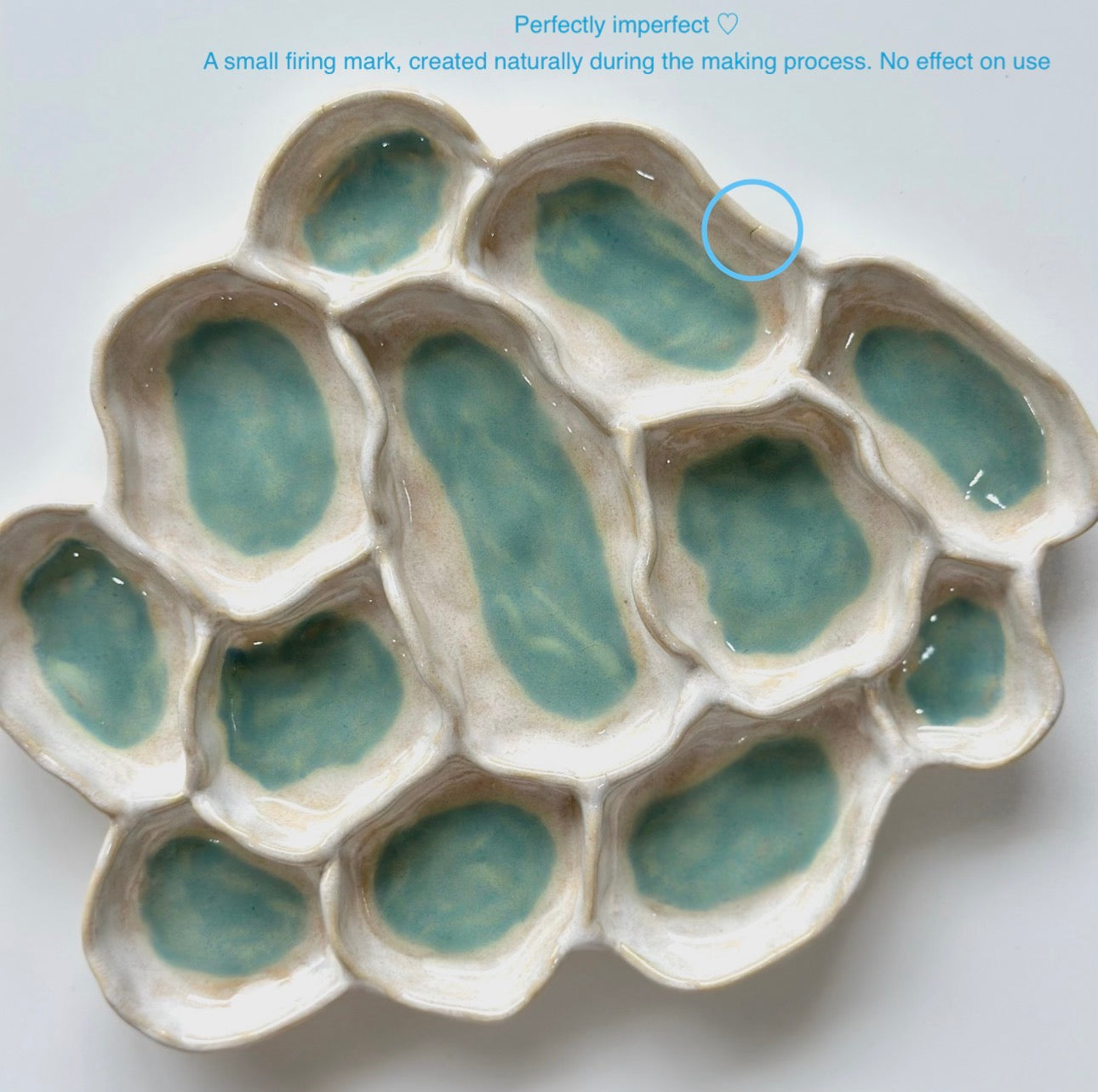 Aqua Pearl - Fossil Bloom